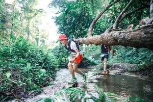 BIB: 
                            <button type="button" onclick="openModal(25432533)" class="btn btn-primary btn-sm float-right btn-popup" data-toggle="modal" data-target=".modal-high-quality">
                        <i class="fas fa-shopping-cart"></i> Add to Cart
                    </button>
                                            <button type="button" onclick="isThisMe(25432533, true)" class="btn btn-success btn-sm float-right btn-popup btn-isme hidden" data-toggle="tooltip" data-placement="bottom" title="นี่คือรูปของคุณใช่ไหม คลิกที่นี่เพื่อเอาเข้าอัลบั้ม">
                        <i class="fas fa-plus"></i> Add to album
                    </button>
                    <button type="button" onclick="isThisMe(25432533, false)" class="btn btn-warning btn-sm float-right btn-popup btn-isnotme hidden">
                        <i class="fas fa-ban"></i> Remove from album
                    </button>